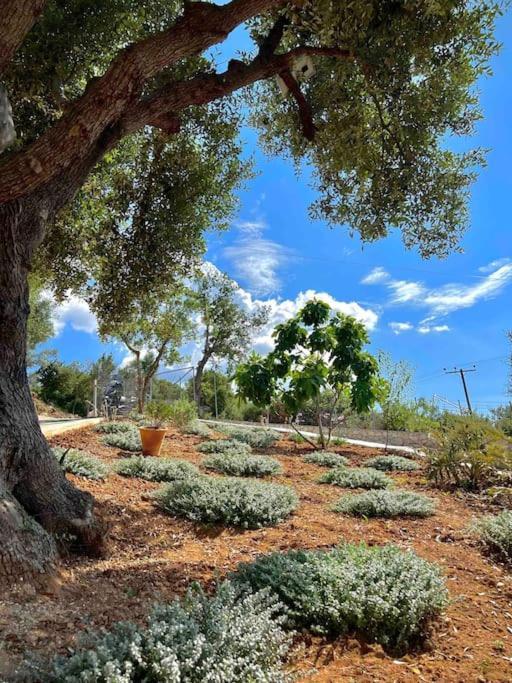 Villa Corto Apolpaina Esterno foto