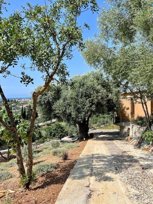 Villa Corto Apolpaina Esterno foto